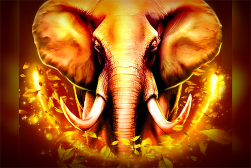 Elephant Stampede